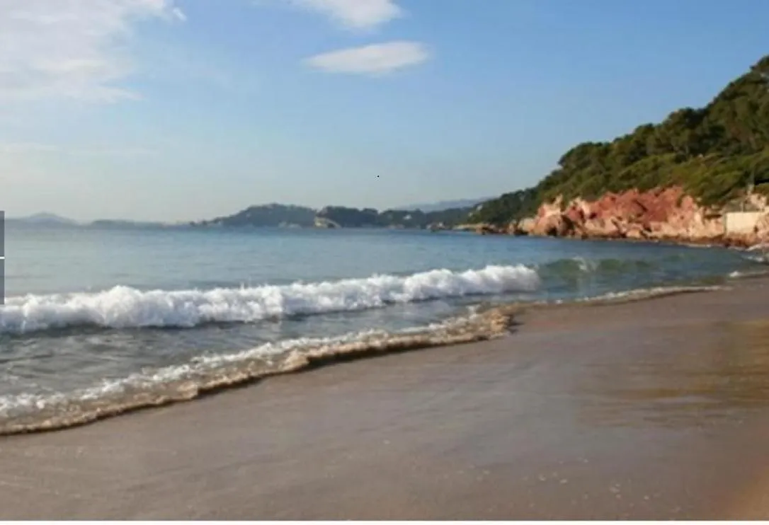 A 50M De La Plage , 2 Chambres , Climatisation Parking Le Pradet
